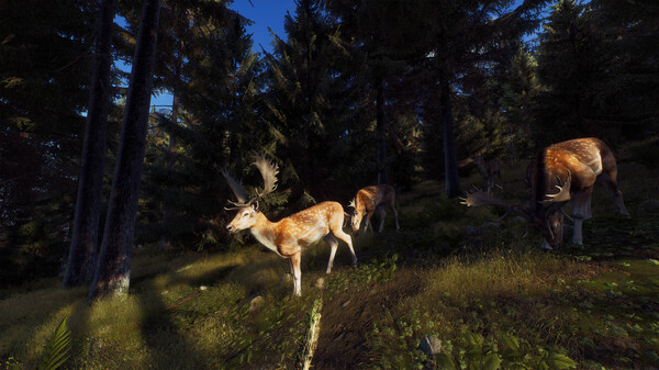 Way of the Hunter 2 Download