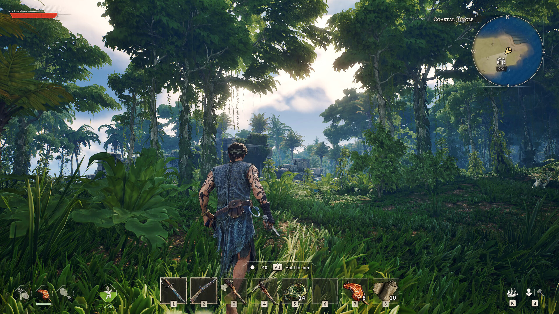 Windrose free Download